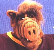 ALF